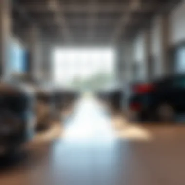 Inside the AutoNation Hyundai showroom featuring latest models.