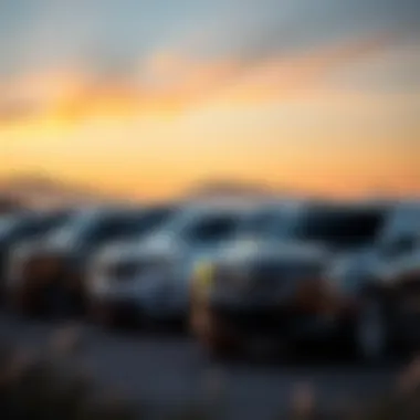 Diverse Models of Cadillac SUVs Cadillac SUV lineup showcasing various models