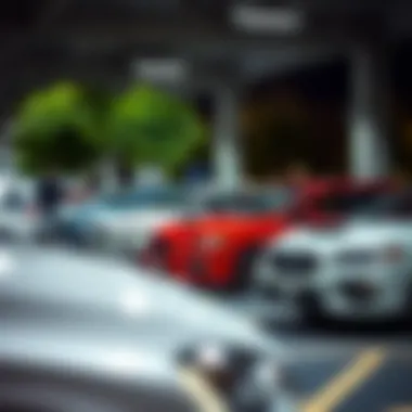 Community event at CAG Subaru highlighting customer engagement