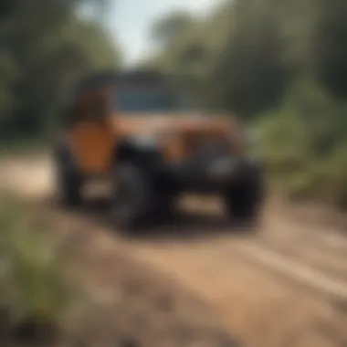 A vibrant gathering of Jeep owners during a local off-road adventure near Miami