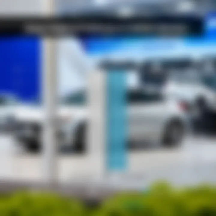 Regional Preferences in Vehicle Selection A comparison chart demonstrating local vehicle preferences