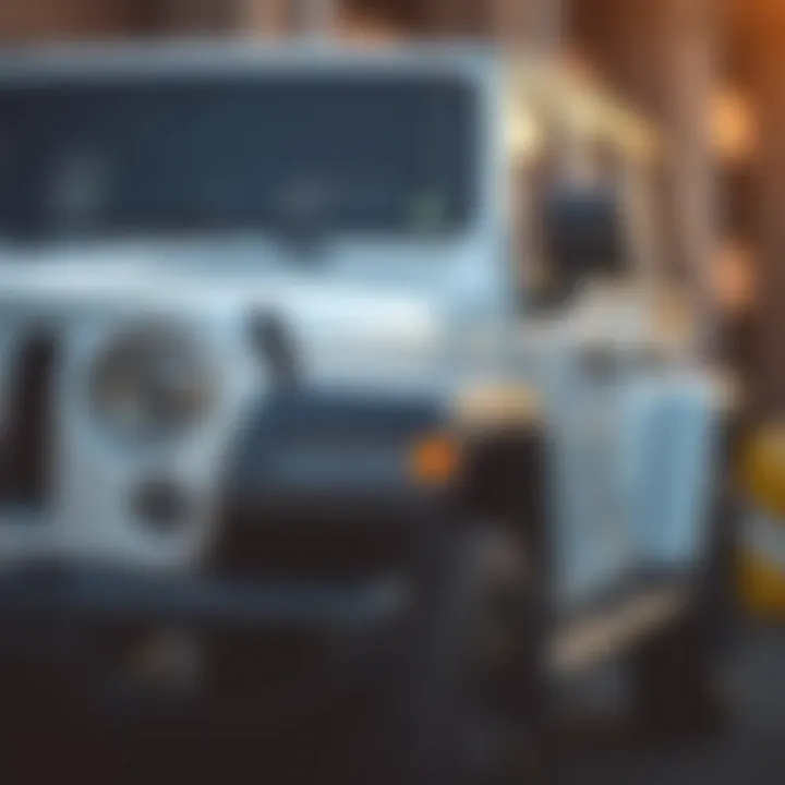 User feedback highlighting experiences with the Maik Haik Jeep