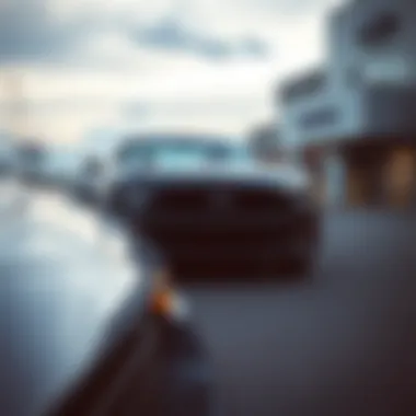 Community event sponsored by Long McArthur Ford