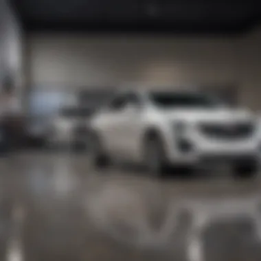 Cadillac Showroom at Michael's Showroom showcasing Cadillac vehicles available at Michael's