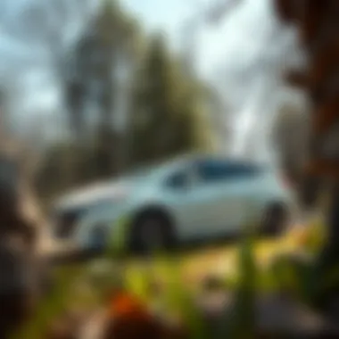 Eco-Friendly Impact in a Natural Setting Nissan Prius Hybrid in a natural environment emphasizing eco-friendliness